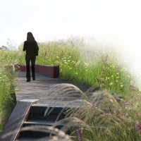 /album/fotogalerie-uvodni-stranka/zastavka-v-trave-jpg/